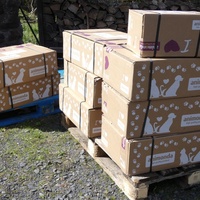 photo de livraison pour Jardin des Chats