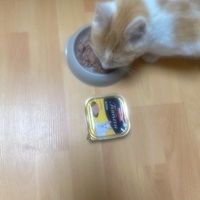 photo de livraison pour Les Pattes de l'Espoir 