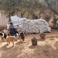 photo de livraison pour Help Adopt Moroccan Animals