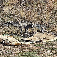 photo de livraison pour Civic Initiative Kane Korzo Skopje