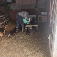 photo de livraison pour ПРИХВАТИЛИШТЕ ДРАЖЕВАЦ