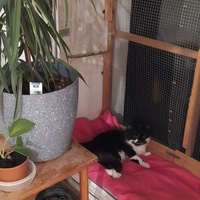 photo de livraison pour Une Maison pour la Vie