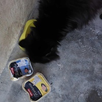 photo de livraison pour Les Poilus du 33