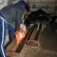 photo de livraison pour Mariuta