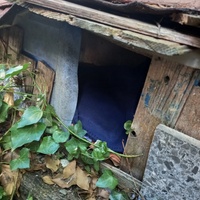 photo de livraison pour APAHC