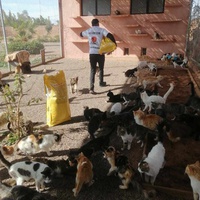 photo de livraison pour L'Arche de Noé