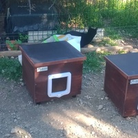 photo de livraison pour Les Chats-Pitresdelavi-Ste