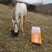 photo de livraison pour Les Crinières de Salherm