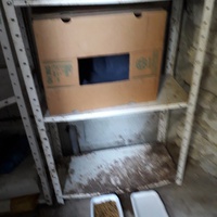 photo de livraison pour Les Chats de la Rue