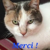photo de livraison pour Les Pattes de la Liberté 