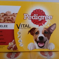 photo de livraison pour BAÏKAL