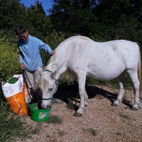 photo de livraison pour La Retraite des Chevaux des Causses