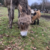 photo de livraison pour Bêle et Bête