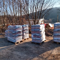 photo de livraison pour Silver Dog Srebrenica