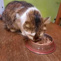 photo de livraison pour Capucine et Compagnie