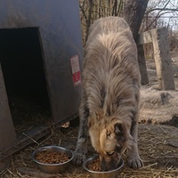 photo de livraison pour Svetlana Bjelogrlic