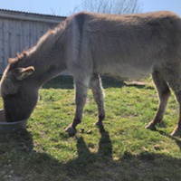 photo de livraison pour ADADA