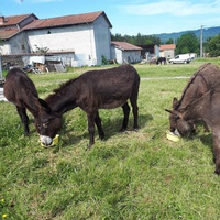 photo de livraison pour ADADA