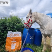 photo de livraison pour La Retraite des Chevaux des Causses