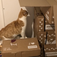 photo de livraison pour Les Chats de Condom 32