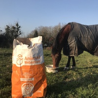 photo de livraison pour Espoir au Galop