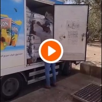 photo de livraison pour Help Adopt Moroccan Animals