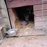 photo de livraison pour Samira Gagula