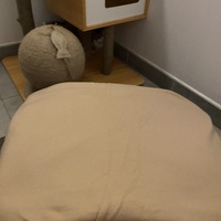 photo de livraison pour Les Chats de Condom 32