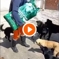 photo de livraison pour ПРИХВАТИЛИШТЕ ДРАЖЕВАЦ