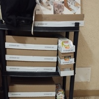 photo de livraison pour Cat Miaou
