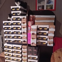 photo de livraison pour Les Félins Concitoyens de Saint Eliph