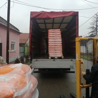 photo de livraison pour Animal Shields Oradea
