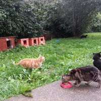 photo de livraison pour Chaperlipopette 77