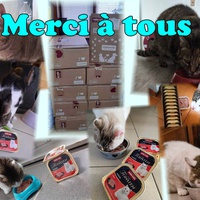 photo de livraison pour Association AmiCat