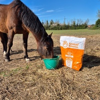 photo de livraison pour Arche et Relais