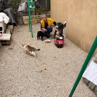 photo de livraison pour Ecole du Chat des Alpilles