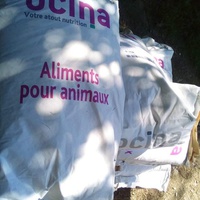photo de livraison pour Ulyan
