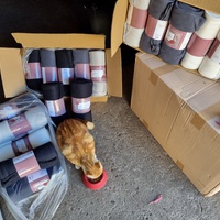 photo de livraison pour Les Chats'nonymes