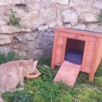 photo de livraison pour Ecole du Chat d’Arbois