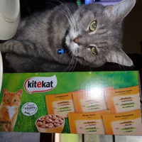 photo de livraison pour Ecole du Chat de la Vallée d'Auge