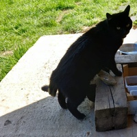 photo de livraison pour APAHC