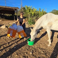 photo de livraison pour La Retraite des Chevaux des Causses