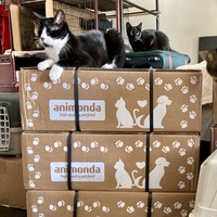 photo de livraison pour Association C.A.T.S. Chat Animal Terrien Solidarité
