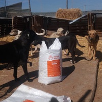 photo de livraison pour Association Mira Protection des Animaux et de l'Environnement