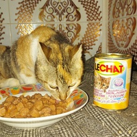 photo de livraison pour Samantha Réaux