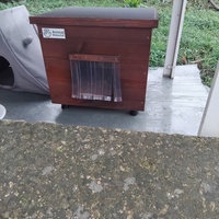 photo de livraison pour Chat Ami pour la Vie