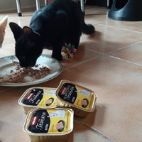 photo de livraison pour Bien vivre avec les Chats Sallélois