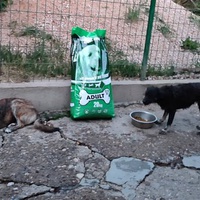 photo de livraison pour Ivana Nikolić