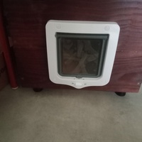 photo de livraison pour Les Chats-Pitresdelavi-Ste