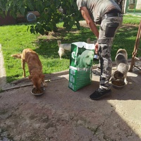 photo de livraison pour ПРИХВАТИЛИШТЕ ДРАЖЕВАЦ